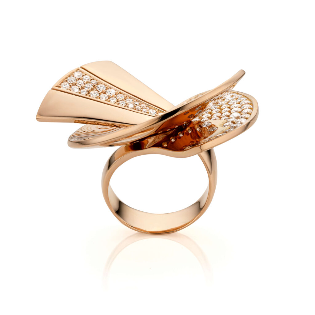 DE GREEF Coralys 6369 Oct2025_HD