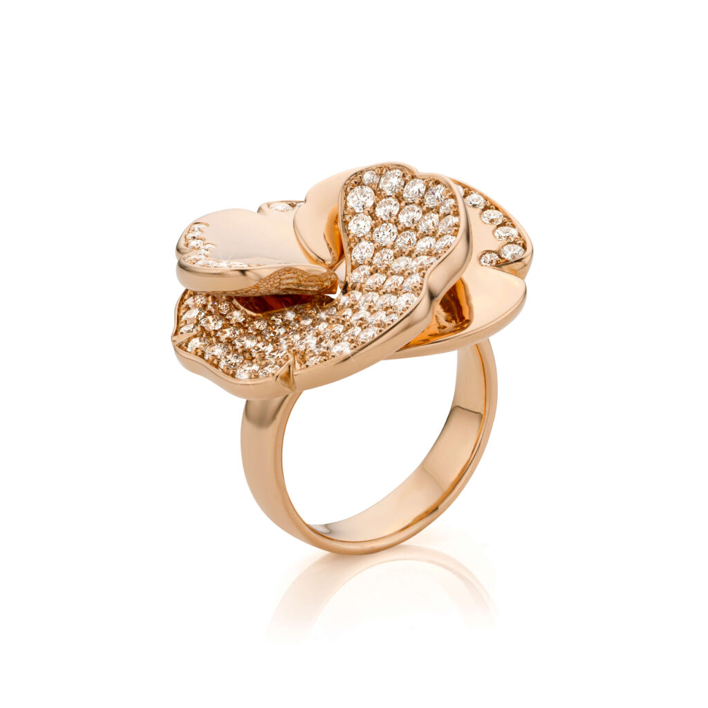 DEGREEF_RW_2717 251126_HR